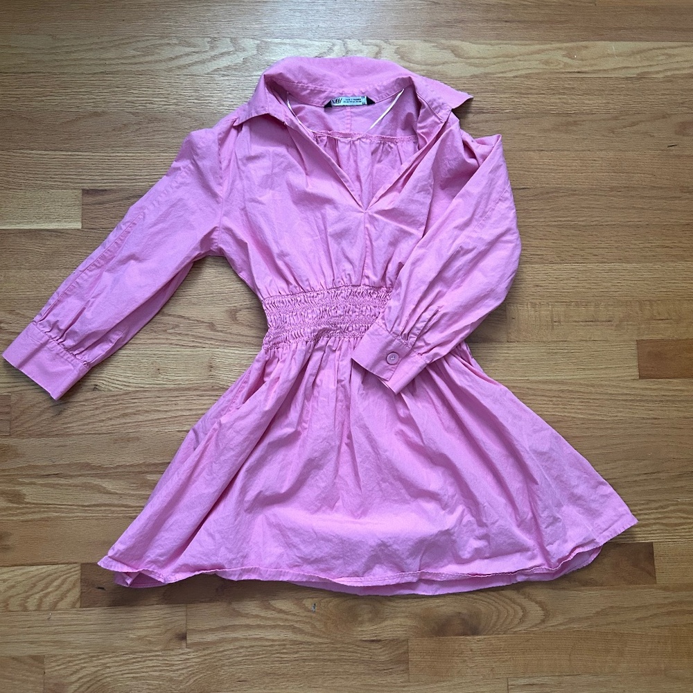 Pink Zara Collared Dress